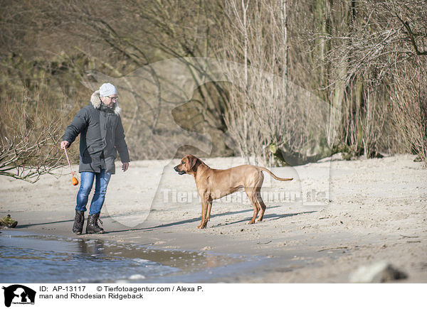 Mann und Rhodesian Ridgeback / man and Rhodesian Ridgeback / AP-13117