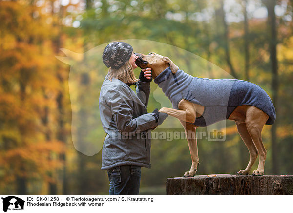 Rhodesian Ridgeback mit Frau / Rhodesian Ridgeback with woman / SK-01258