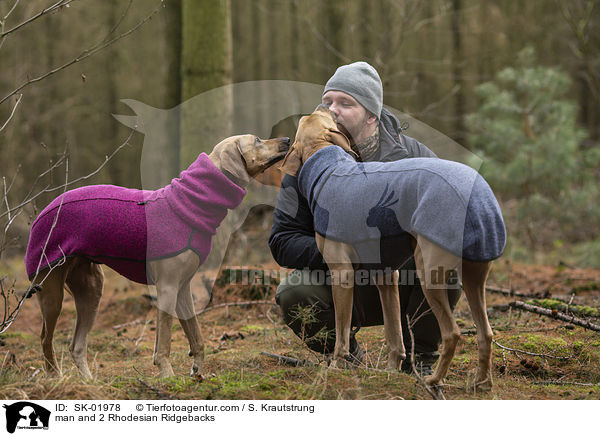 Mann und 2 Rhodesian Ridgebacks / man and 2 Rhodesian Ridgebacks / SK-01978