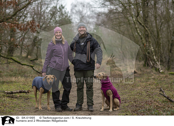 Menschen und 2 Rhodesian Ridgebacks / humans and 2 Rhodesian Ridgebacks / SK-01995