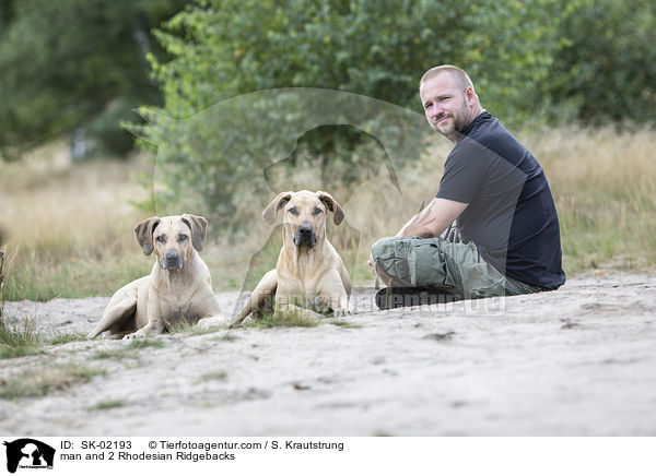 Mann und 2 Rhodesian Ridgebacks / man and 2 Rhodesian Ridgebacks / SK-02193