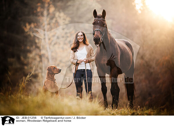 Frau, Rhodesian Ridgeback und Pferd / woman, Rhodesian Ridgeback and horse / JEB-01256