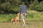 man with Rhodesian Ridgeback