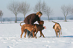 woman with Rhodesian Ridgebacks in the snow