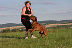 playing Rhodesian Ridgeback