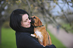 Rhodesian Ridgeback Puppy