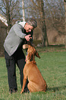 man and Rhodesian Ridgeback