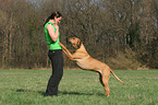 woman with Rhodesian Ridgeback