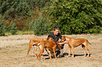 woman with Rhodesian Ridgebacks