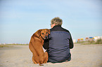 Human and Rhodesian Ridgeback