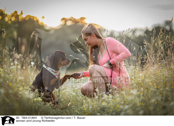 Frau und junger Rottweiler / woman and young Rottweiler / TBA-01864