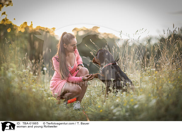 Frau und junger Rottweiler / woman and young Rottweiler / TBA-01865
