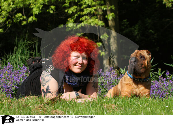 woman and Shar Pei / SS-37503