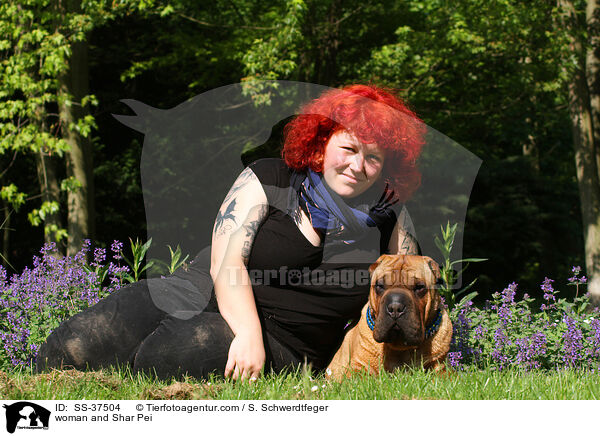 woman and Shar Pei / SS-37504