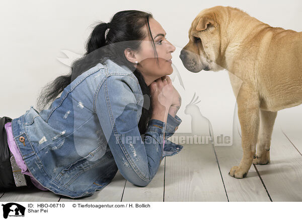 Shar Pei / Shar Pei / HBO-06710