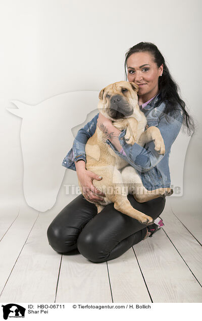 Shar Pei / Shar Pei / HBO-06711