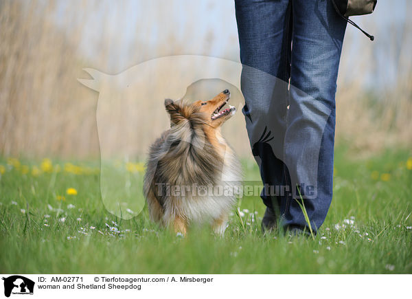 Frau und Sheltie / woman and Shetland Sheepdog / AM-02771