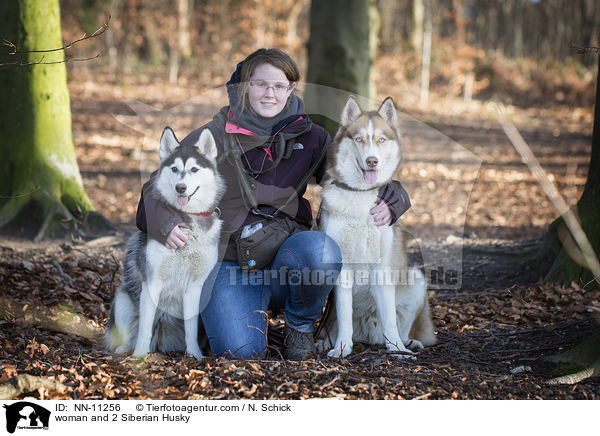 Frau und 2 Siberian Husky / woman and 2 Siberian Husky / NN-11256