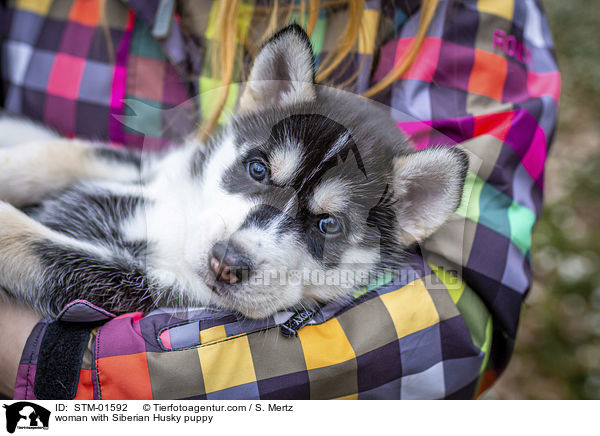 Frau mit Siberian Husky Welpe / woman with Siberian Husky puppy / STM-01592