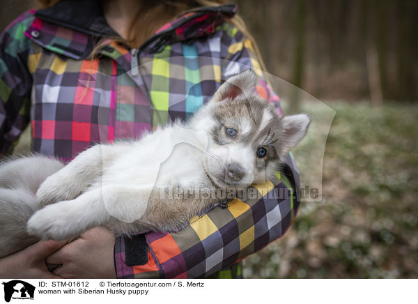 Frau mit Siberian Husky Welpe / woman with Siberian Husky puppy / STM-01612