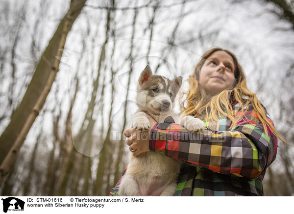 Frau mit Siberian Husky Welpe / woman with Siberian Husky puppy / STM-01616