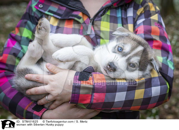 Frau mit Siberian Husky Welpe / woman with Siberian Husky puppy / STM-01625