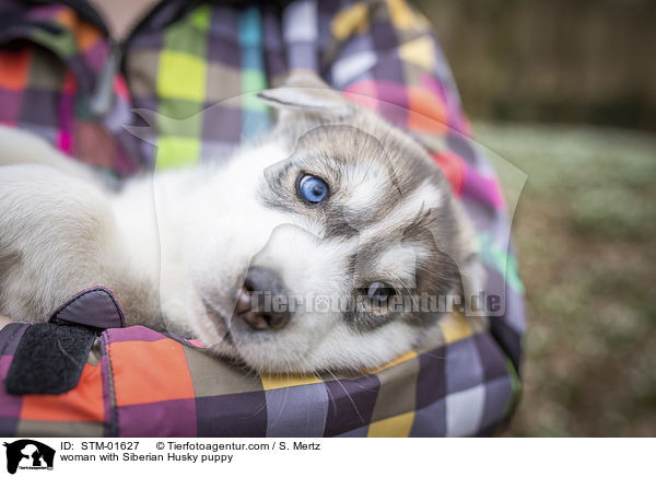 Frau mit Siberian Husky Welpe / woman with Siberian Husky puppy / STM-01627