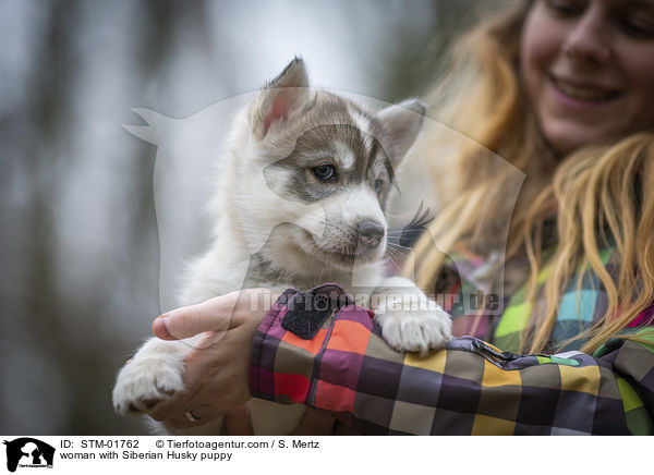 Frau mit Siberian Husky Welpe / woman with Siberian Husky puppy / STM-01762