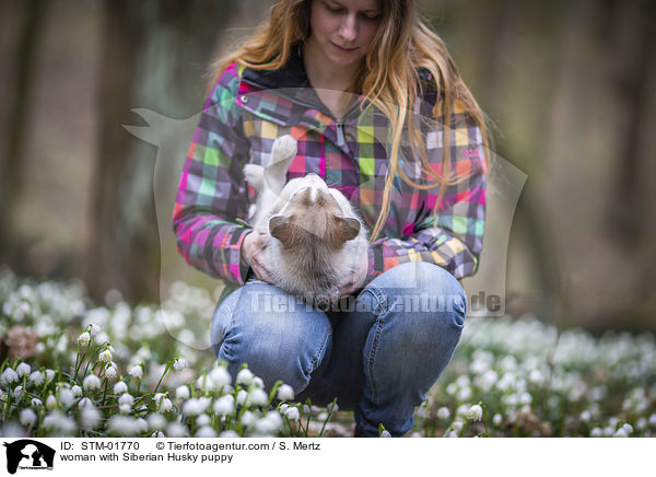 Frau mit Siberian Husky Welpe / woman with Siberian Husky puppy / STM-01770
