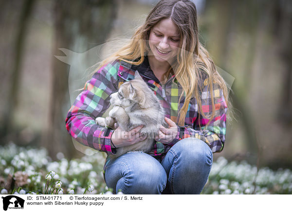 Frau mit Siberian Husky Welpe / woman with Siberian Husky puppy / STM-01771