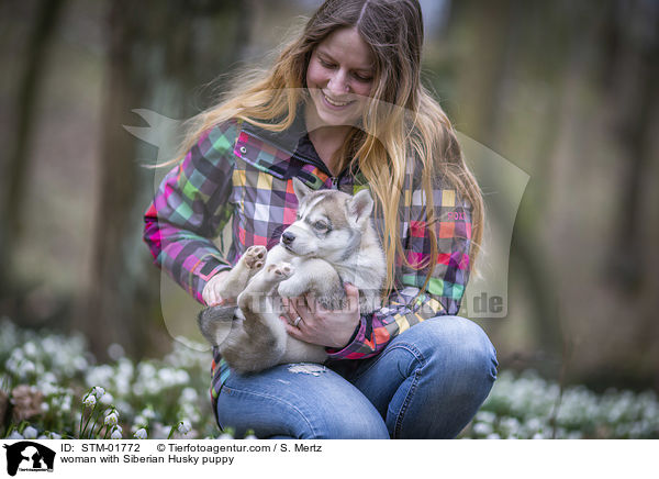 Frau mit Siberian Husky Welpe / woman with Siberian Husky puppy / STM-01772