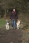 woman and 2 Siberian Husky