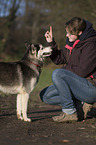 woman and Siberian Husky