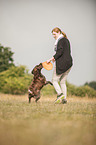 woman and Small Munsterlander