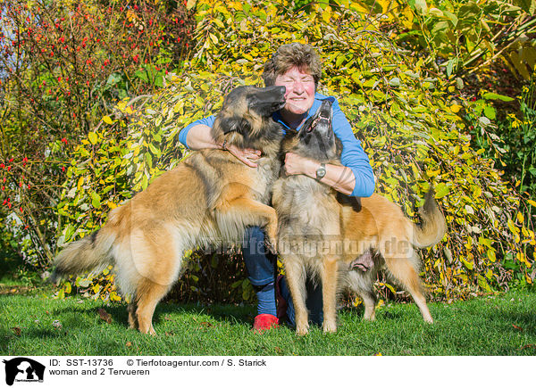 Frau und 2 Tervueren / woman and 2 Tervueren / SST-13736