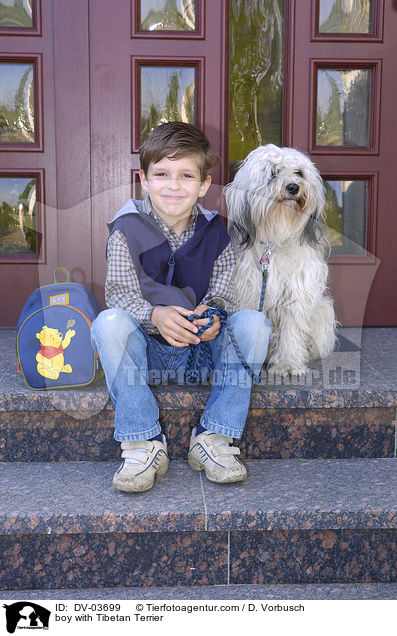 Junge mit Tibet Terrier / boy with Tibetan Terrier / DV-03699