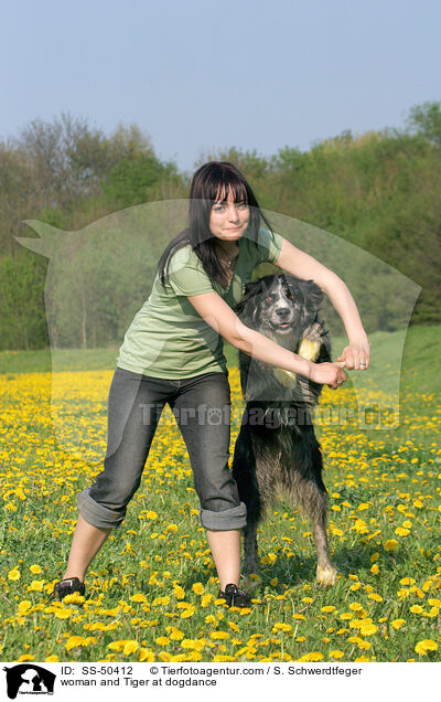 Frau und Altdeutscher Tiger beim Dogdance / woman and Tiger at dogdance / SS-50412