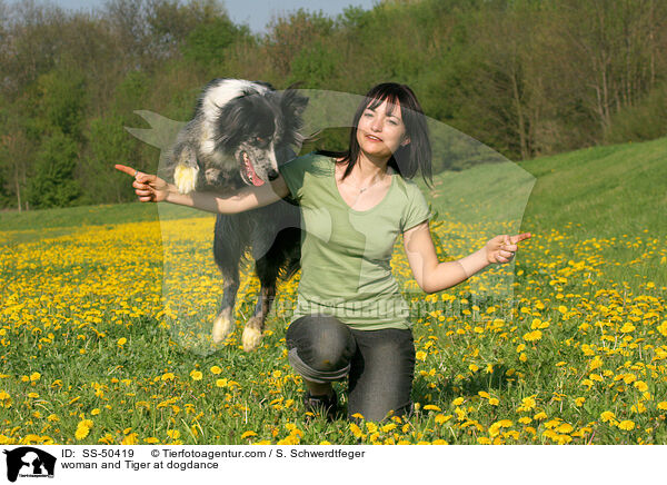 Frau und Altdeutscher Tiger beim Dogdance / woman and Tiger at dogdance / SS-50419