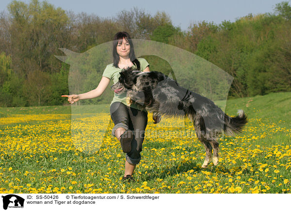Frau und Altdeutscher Tiger beim Dogdance / woman and Tiger at dogdance / SS-50426