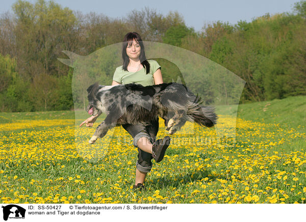 Frau und Altdeutscher Tiger beim Dogdance / woman and Tiger at dogdance / SS-50427