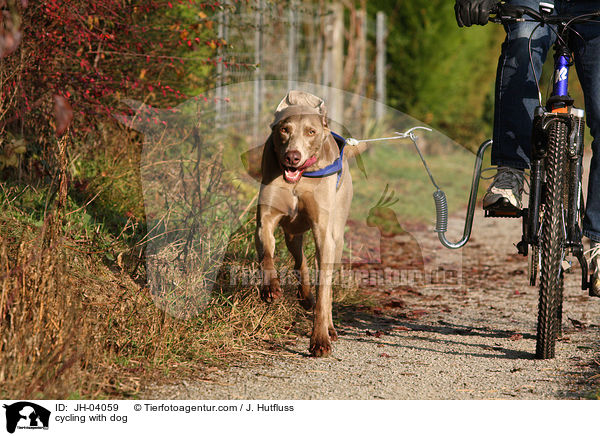 Radfahren mit Hund / cycling with dog / JH-04059