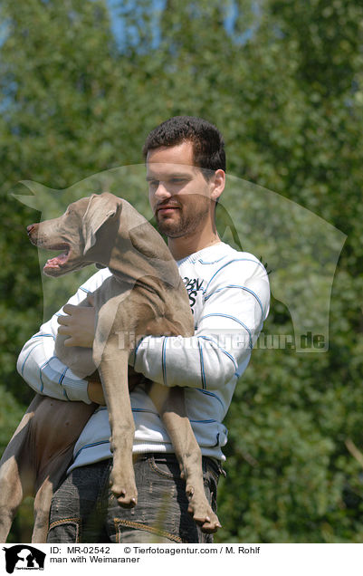 Mann mit Weimaraner / man with Weimaraner / MR-02542