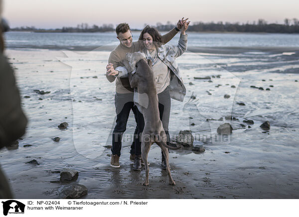 Menschen mit Weimaraner / human with Weimaraner / NP-02404