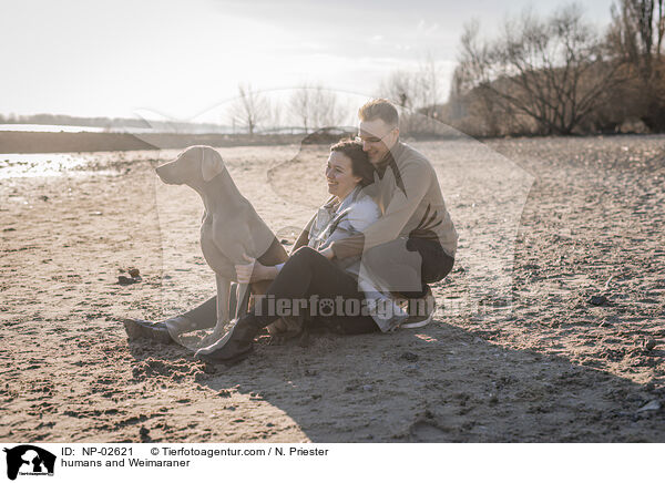 Menschen und Weimaraner / humans and Weimaraner / NP-02621