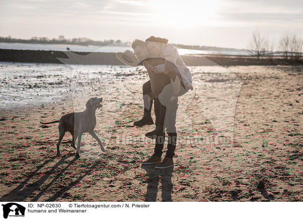 Menschen und Weimaraner / humans and Weimaraner / NP-02630