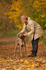 woman with shorthaired Weimaraner