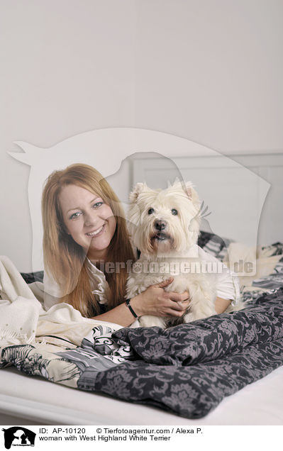 Frau mit West Highland White Terrier / woman with West Highland White Terrier / AP-10120
