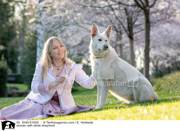 woman with white shepherd / EHO-01829