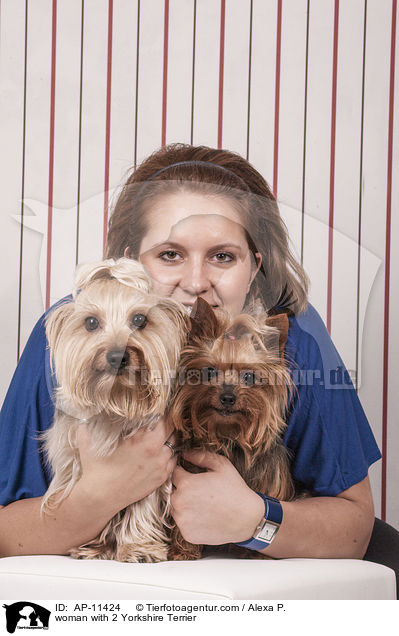 Frau mit 2 Yorkshire Terriern / woman with 2 Yorkshire Terrier / AP-11424