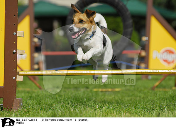 Agility / Agility / SST-02673